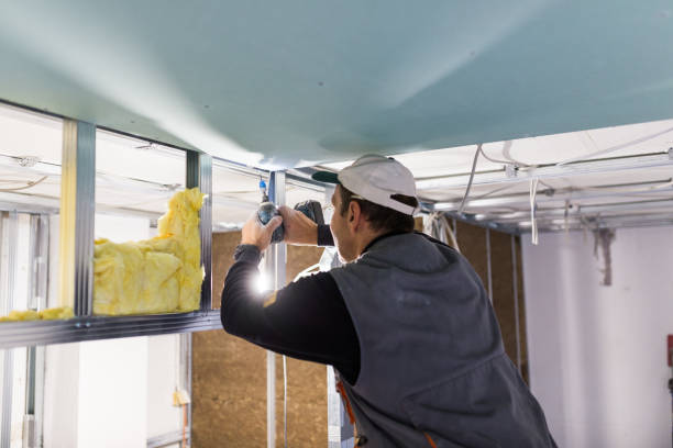 Best Residential Insulation in Dover, DE