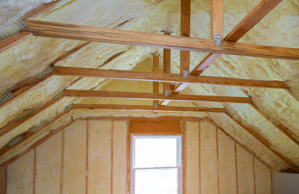 Professional Insulation Contractor in DE